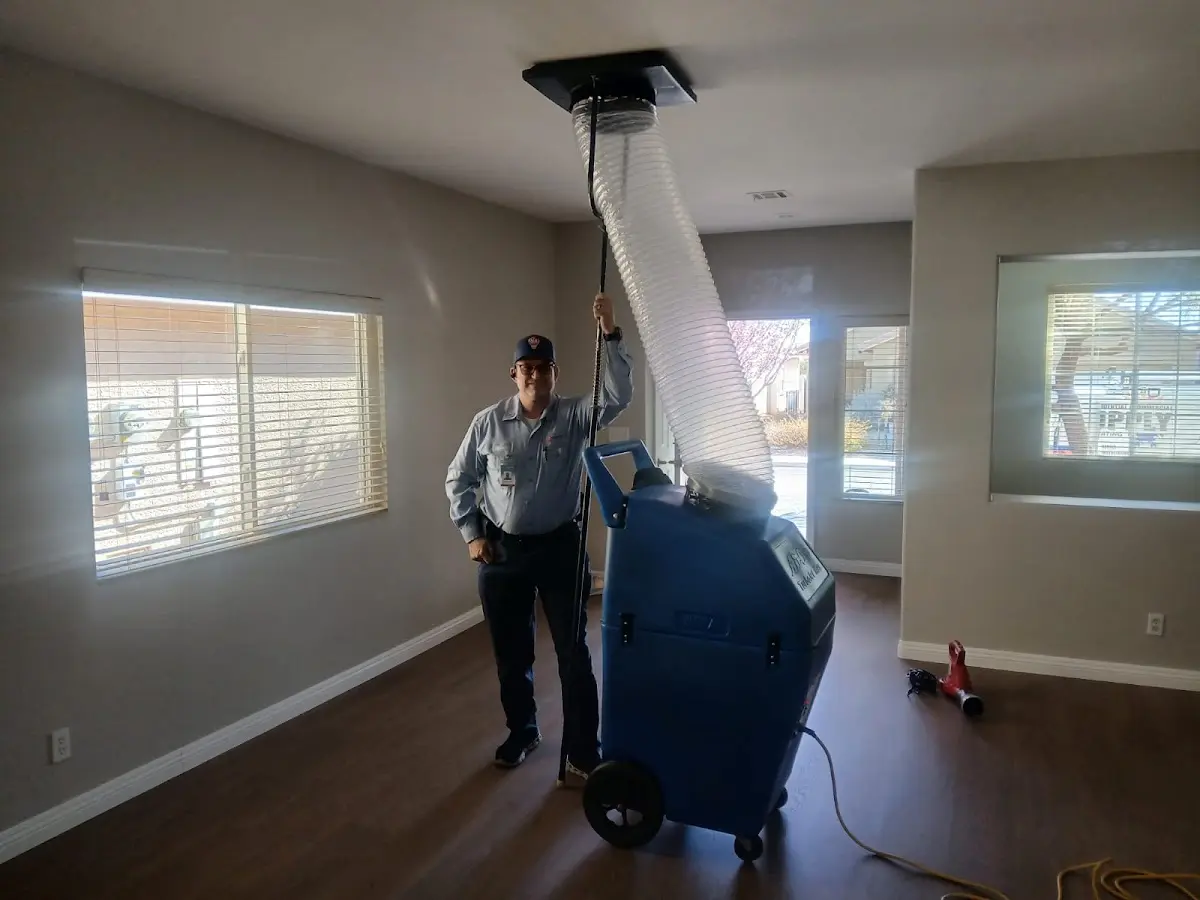 Professional Dryer Vent Cleaning work inside a Meadowbrook home